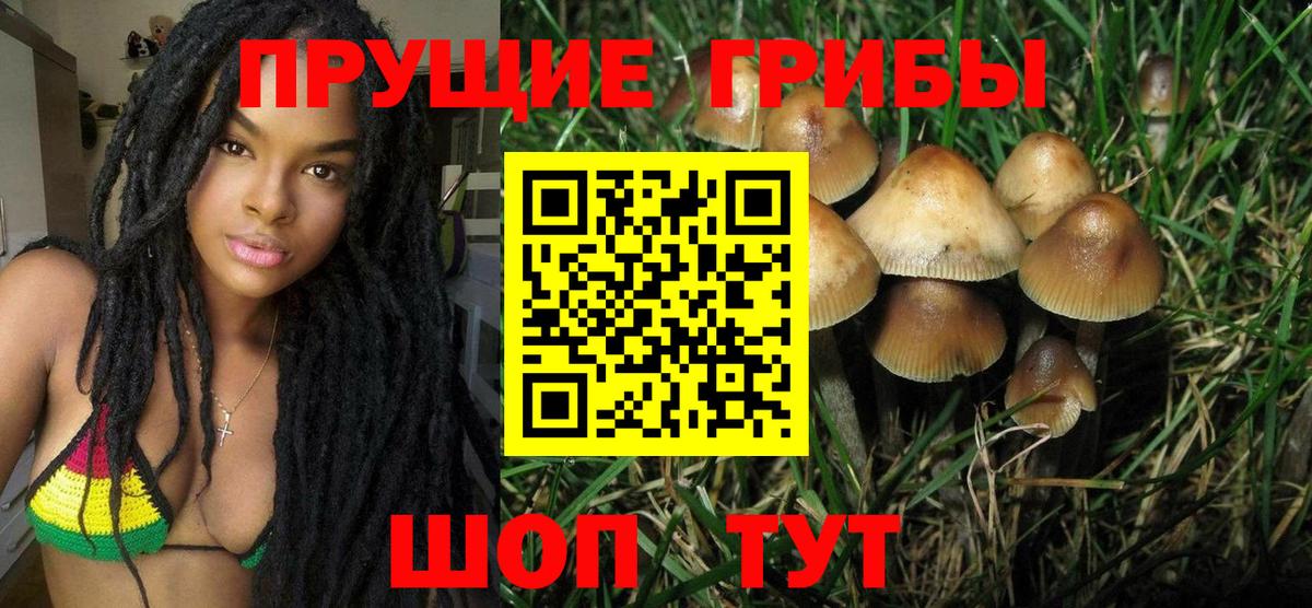 Псилоцибиновые грибы Psilocybe Холмск