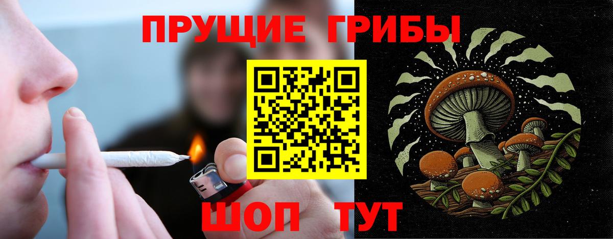 Холмск  Галлюциногенные грибы мицелий  Вход с VPN 